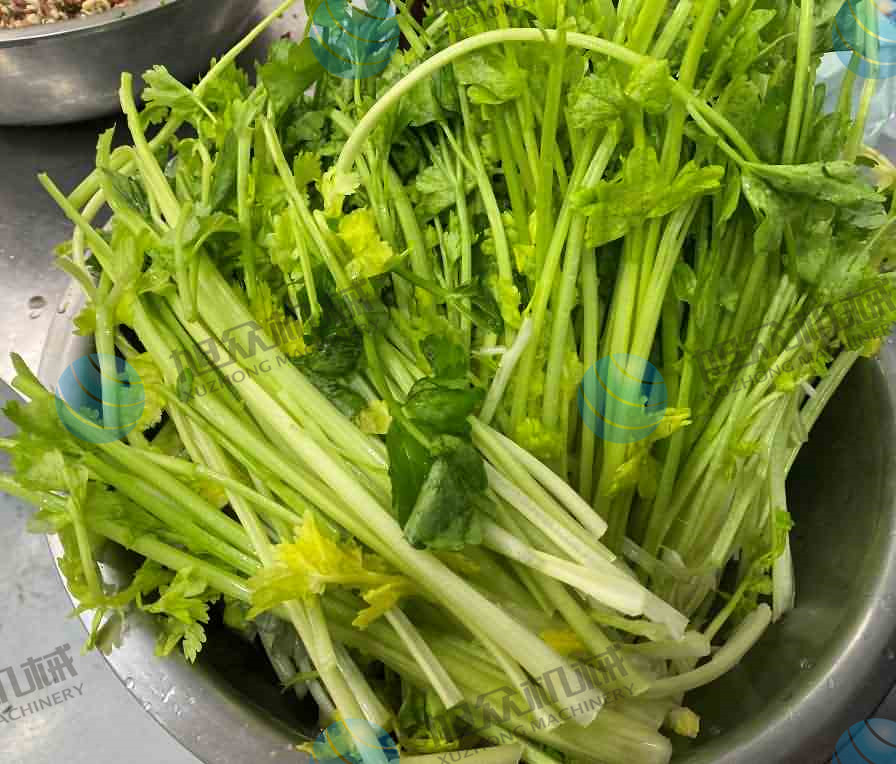 5ea286a04408e.jpg 5ea286a04408e.jpg